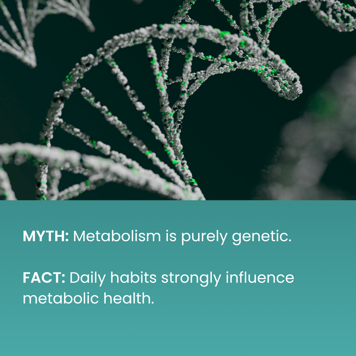LinkedIn Myth or Fact, slide 2 of 6
