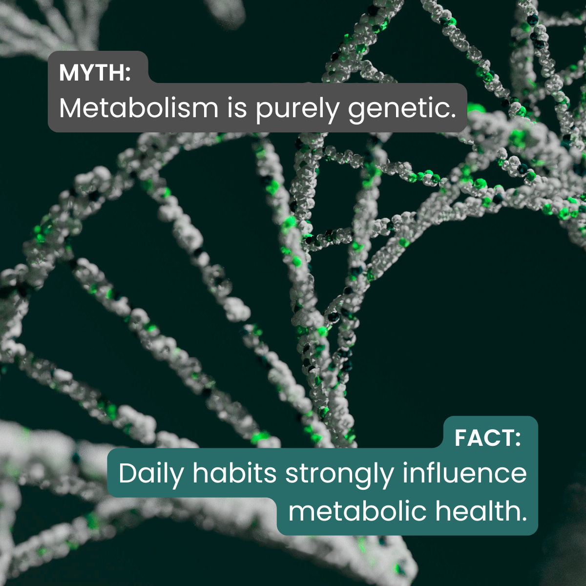 TikTok Myth or Fact, slide 2 of 6